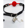 DS Fetish Кляп с зажимами на соски DS Fetish Locking gag with nipple clamps black/red (222002054) - зображення 2