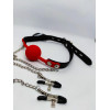 DS Fetish Кляп с зажимами на соски DS Fetish Locking gag with nipple clamps black/red (222002054) - зображення 3