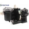 Pentair 5P6R SEAW 14 м3/год, 0,55 квт, 400 в насос для басейну (96458) - зображення 1