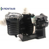 Pentair 5P6R SEAW 16 м3/год, 0,75 квт 400 в насос для басейну (SW5P6RE-3) - зображення 1