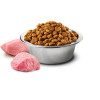 Farmina N&D Pumpkin Grain Free Puppy Mini Lamb & Blueberry 7 кг (8010276033628) - зображення 2