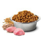 Farmina N&D Ancestral Grain Puppy Mini Chicken and Pomegranate 0,8 кг - зображення 2