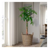 IKEA FLODBJORK Квітковий горщик, кімнатний/вуличний світло-сіро-коричневий, 41 см (105.607.36) - зображення 3