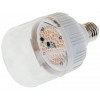 Brille LED E27 12W Fito GROW (L137-013) - зображення 1