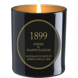 Cereria Molla Ароматична свічка  Premium Ginger & Orange Blossom 230 г (8000019675677)