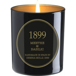 Cereria Molla Ароматична свічка  Premium Menthe & Basilic 230 г (8000020427896)