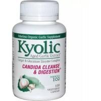 Kyolic Экстракт чеснока, для удаления дрожжевого грибка и улучшения пищеварения, Aged Garlic Extract, Candi