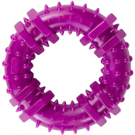 Agility Іграшка для собак  кільце з шипами 12 см фіолетова (4820266660246)