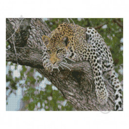 STRATEG Алмазная мозаика  «Леопард на дереве», 40х50 см FA10050