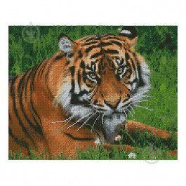 STRATEG Алмазная мозаика  «Суровый тигр», 40х50 см FA10474