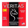DR Струны для электрогитары Veritas Light Heavy VTE-9/46 (09-46) (29-5-21-37) - зображення 1