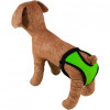 Lucky Pet Гігієнічні труси для собак  розмір L 47 см - 54 см Салатові (4820276190252) - зображення 2