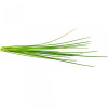 Click&Grow Сменный картридж  Зеленый лук (7540) - зображення 2
