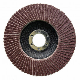 Novo Abrasive Круг пелюстковий торцевий  Profi T29 (125х22.23 мм, P100) (NP100125)