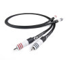 Chord SignatureX Tuned ARAY 2RCA to 2RCA 1m - зображення 1