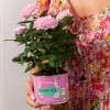 Kusmi Tea Чай зеленый  Green Rose органический 100 г (3585810080505) - зображення 2