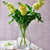 Krosno Ваза для квітів скляна  27 см Прозора (5900345898834) - зображення 2