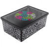 Qutu Коробка  Light Box Flouresent grey, 10 л, з кришкою, 14х26х37 см, сіра (LIGHT BOX с/к FLOURESENT GRE - зображення 1