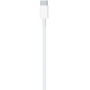 Apple USB-C to Lightning Cable 1m (MM0A3) - зображення 2