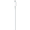 Apple USB-C to Lightning Cable 1m (MM0A3) - зображення 3