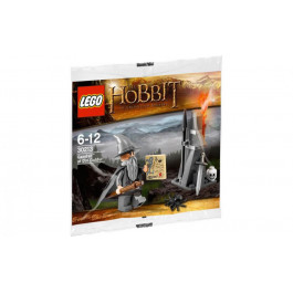 LEGO Hobbit Гендальф у Дол Гулдура (30213