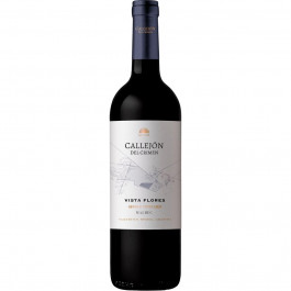   Vinos De La Luz Вино La Luz Callejon Del Crimen Vista Flores Single Vineyard Malbec Uco Valley Mendoza червоне сухе 