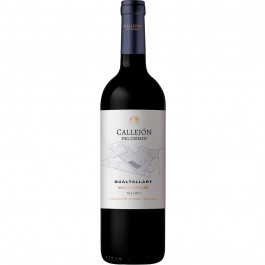   Vinos De La Luz Вино La Luz Callejon Del Crimen Gualtallary Single Vineyard Malbec Uco Valley Mendoza червоне сухе 0