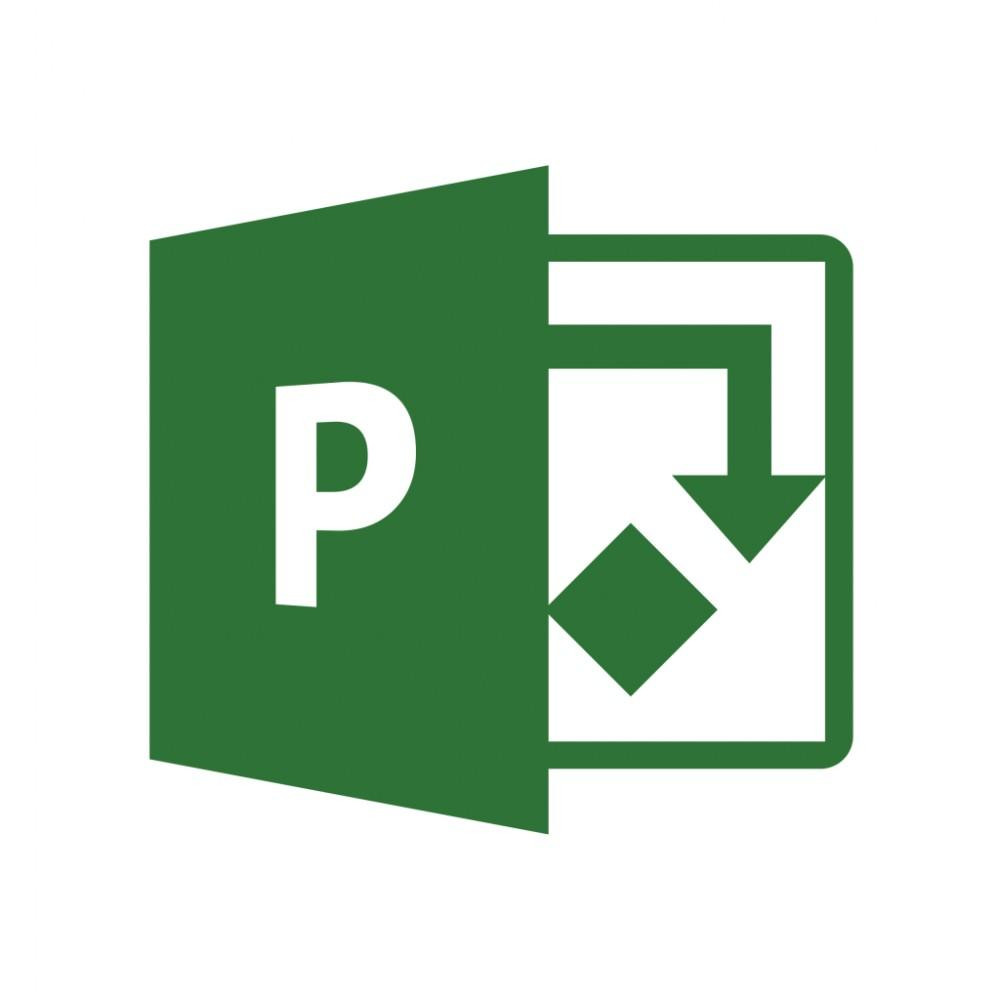 Microsoft Project Professional 2021 Commercial Perpetual (DG7GMGF0D7D7_0001) - зображення 1