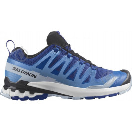 Salomon Чоловічі кросівки для бігу  Xa Pro 3D V9 L47272100 42 (8UK) 26.5 см Сині (195751384766)