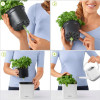 Lechuza Вазон декоративный Green Wall Home Kit Glossy квадратный 1 л (13523) - зображення 5