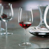 Schott-Zwiesel Набор бокалов для вина For You 600мл 121869 - зображення 7