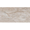Allore Group Armina Dark beige W M NR Glossy 30,8x60,8 см - зображення 1