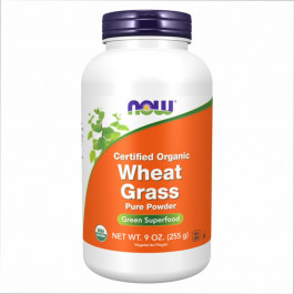 Now Wheat Grass Powder Organic - 9oz