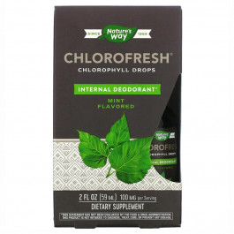 Nature's Way Chlorofresh® Mint 40X Liquid - 2 oz