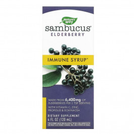 Nature's Way Sambucus Immune Syrup - 4 oz