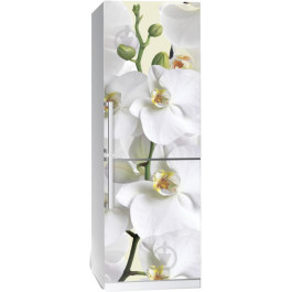 Zatarga Наклейка на холодильник Орхідея (4820011800774)