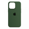 ArmorStandart Silicone Case для Apple iPhone 13 Pro Max Virid Green (ARM61789) - зображення 1