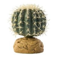 Hagen Растение Barrel Cactus Small (015561229807)