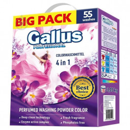 Gallus Пральний порошок Professional 4в1 Color 3.05 кг (4251415302159)