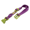 Ferplast Нейлоновый ошейник Club C20/56 Colours Purple для собак, фиолетовый, 36x56 см (75260902) - зображення 1