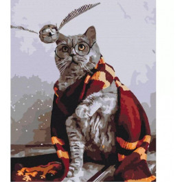 Brushme Картина по номерам "Котик ловец снитча" (BS36543) 40x50