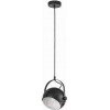 TK Lighting 4154 Parma Black - зображення 1