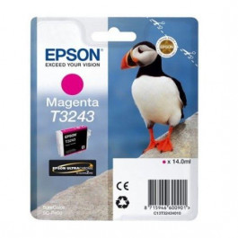   Epson C13T32434010