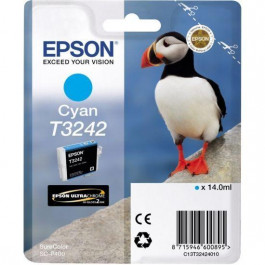   Epson C13T32424010