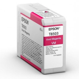 Epson C13T850300