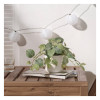 IKEA FEJKA Штучна рослина в горщику, кімнатна/вулична мозаїка/підвісна, 9 см (405.716.77) - зображення 3