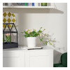 IKEA FEJKA Штучна рослина в горщику, кімнатна/вулична/Троянда світло-рожева, 12 см (905.716.89) - зображення 3