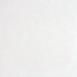 RAKO Керамограніт  Concept CCPT.DAA4H599.NE02 White 45*45 см білий 2 сорт