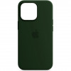 ArmorStandart Silicone Case Apple iPhone 13 Pro Clover (ARM62142) - зображення 1