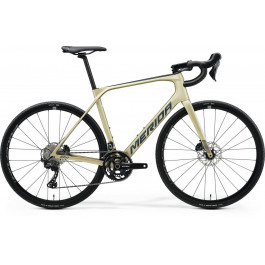 Merida Scultura Endurance GR 5000 2024 / рама 53см silk champagne